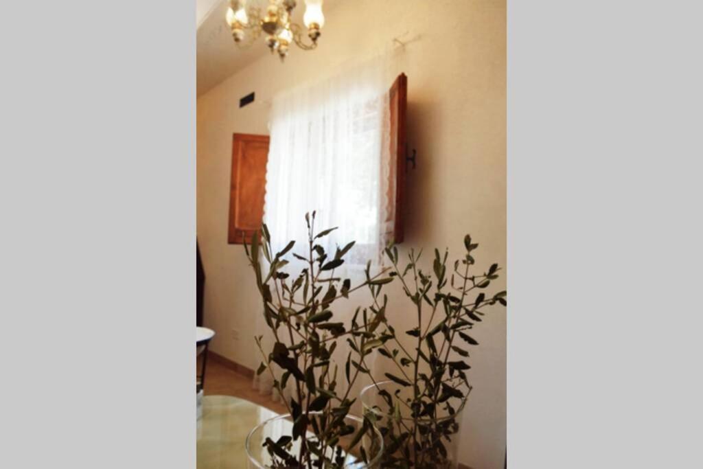Villa Trulli Villa Castelli Dış mekan fotoğraf