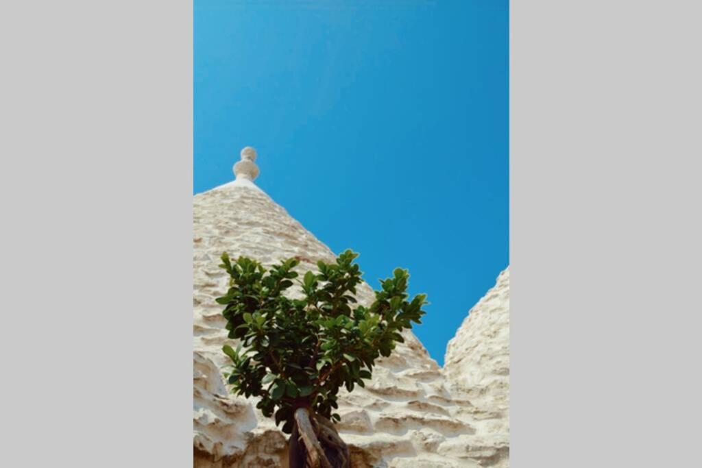 Villa Trulli Villa Castelli Dış mekan fotoğraf