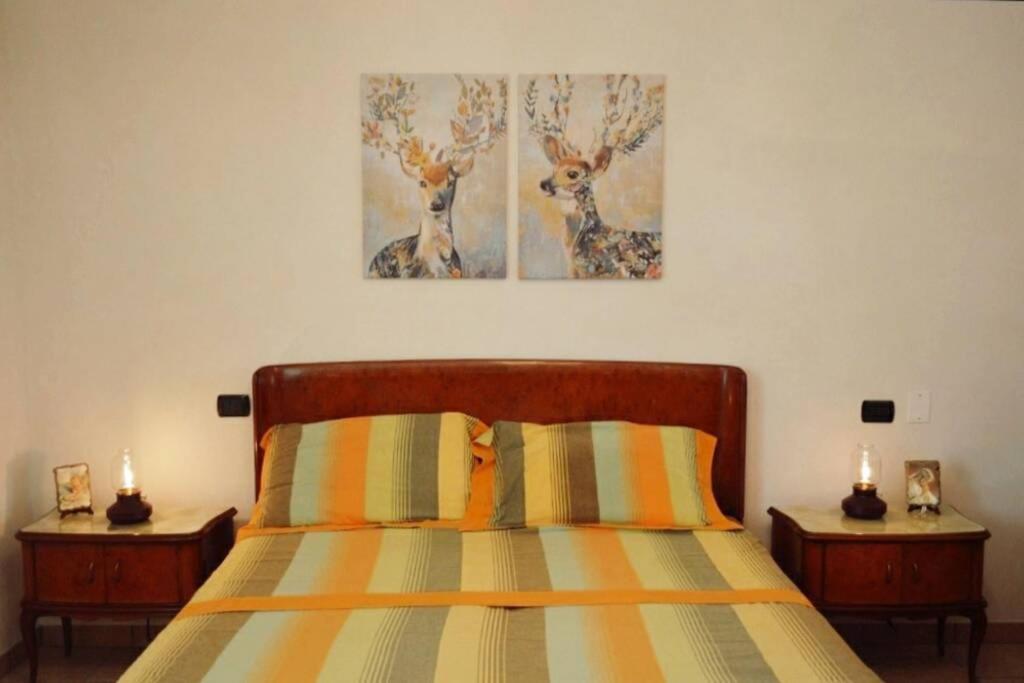 Villa Trulli Villa Castelli Dış mekan fotoğraf